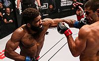 chris curtis sherdog